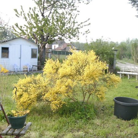 Ferme Lenfant Guest House Ville-Pommeroeul Exterior foto