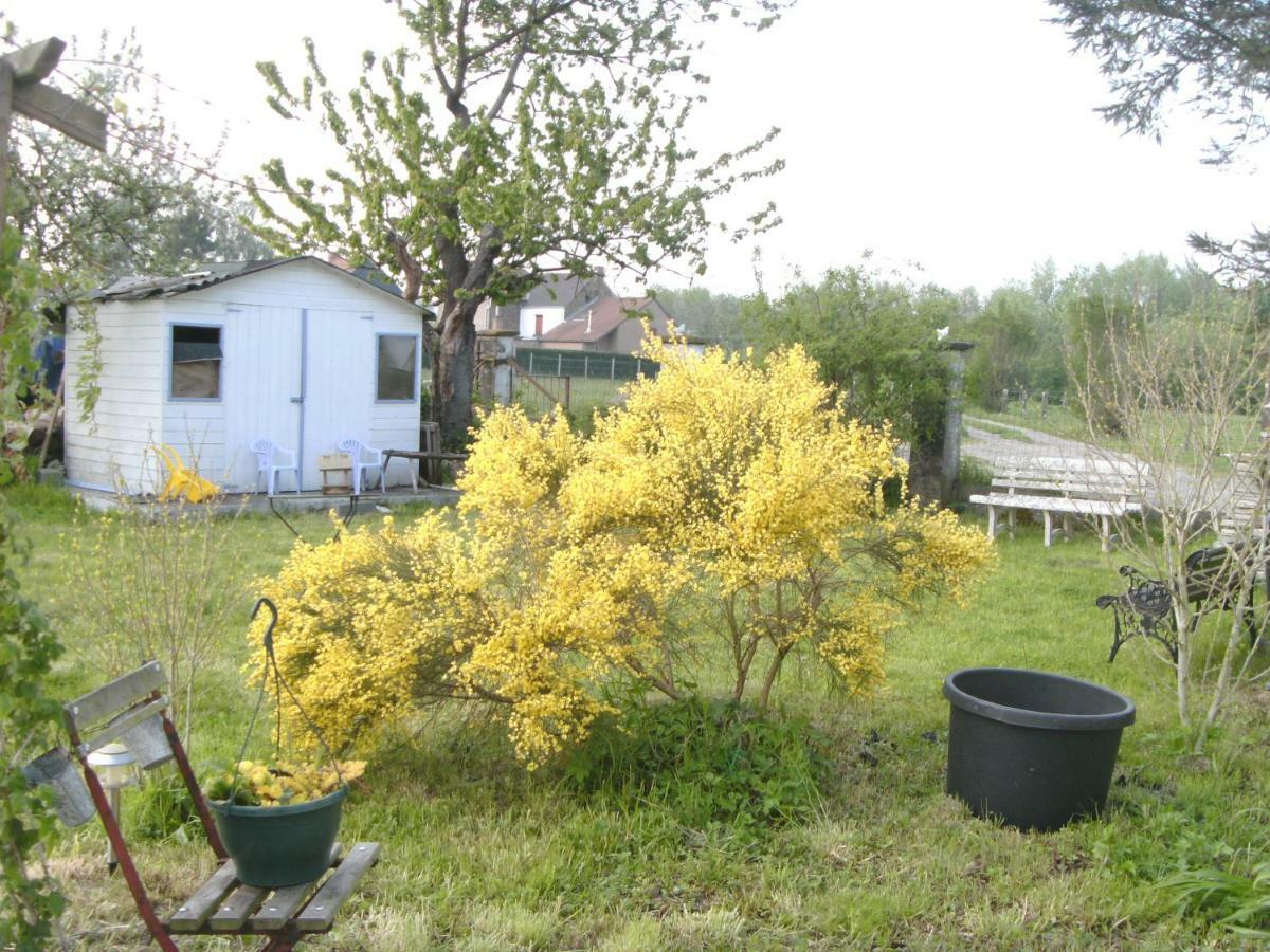 Ferme Lenfant Guest House Ville-Pommeroeul Exterior foto