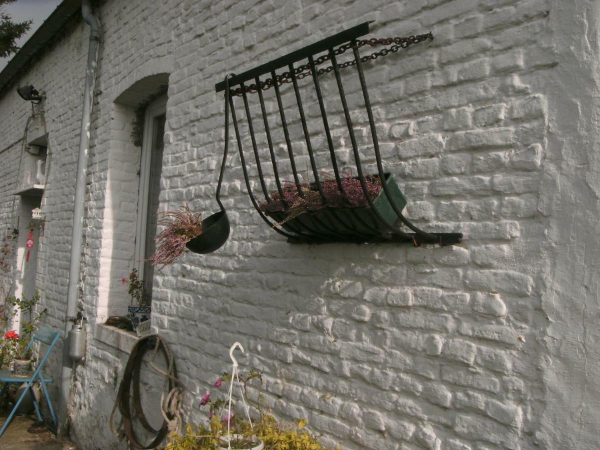 Ferme Lenfant Guest House Ville-Pommeroeul Exterior foto